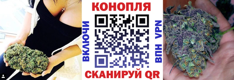Конопля Кадников