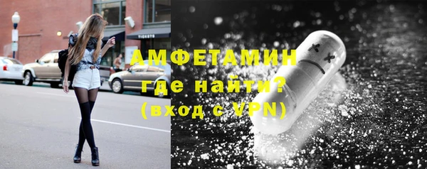 сатива Алзамай