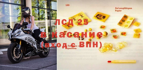 сатива Алзамай