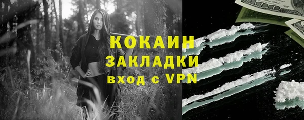 сатива Алзамай